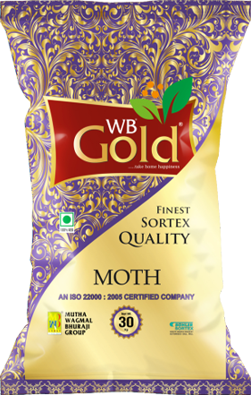 WB Gold Moth